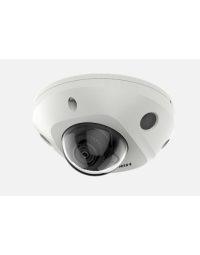 Hikvision 2 MP Acusense Built-in Mic Fixed Mini Dome Network Camera