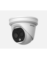 Hikvision Thermal & Optical Bi-Spectrum Network Turret Camera, 2mm