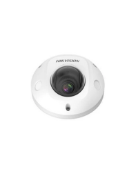 Hikvision 2MP Mobile Dome Camera