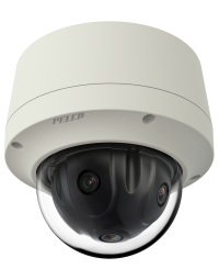 Pelco 12MP Pendant, Environmental Vandal 270° IP Camera