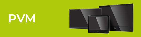 Vista PVMs
